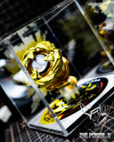 CUSTOM Exploded View 3D Beyblade X Display