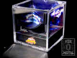 Beyblade Metal Fusion Galaxy x Cosmos Display Case